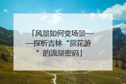 风景如何变场景——探析吉林“赏花游”的流量密码