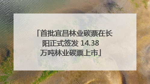首批宜昌林业碳票在长阳正式签发 14.38万吨林业碳票上市