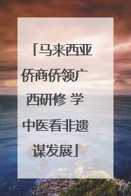 马来西亚侨商侨领广西研修 学中医看非遗谋发展