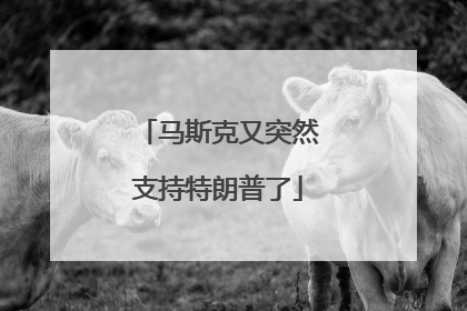 马斯克又突然支持特朗普了