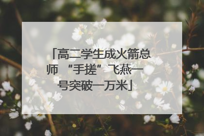 高二学生成火箭总师 “手搓”飞燕一号突破一万米