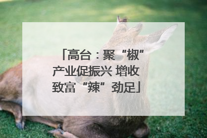 高台：聚“椒”产业促振兴 增收致富“辣”劲足