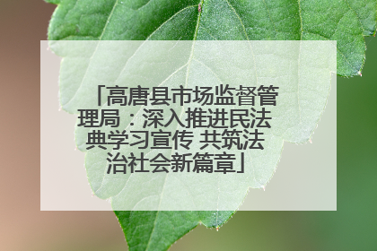 高唐县市场监督管理局：深入推进民法典学习宣传 共筑法治社会新篇章