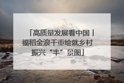 高质量发展看中国丨福稻金浪千重绘就乡村振兴“丰”景图