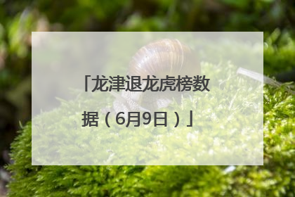 龙津退龙虎榜数据（6月9日）