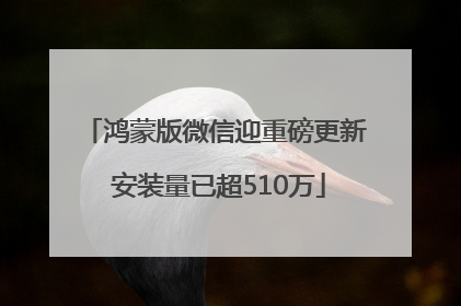 鸿蒙版微信迎重磅更新 安装量已超510万