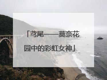 鸢尾——莫奈花园中的彩虹女神