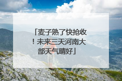 麦子熟了快抢收！未来三天河南大部天气晴好