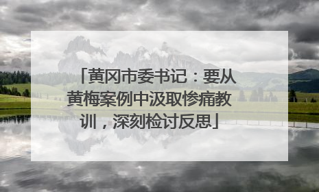 黄冈市委书记：要从黄梅案例中汲取惨痛教训，深刻检讨反思
