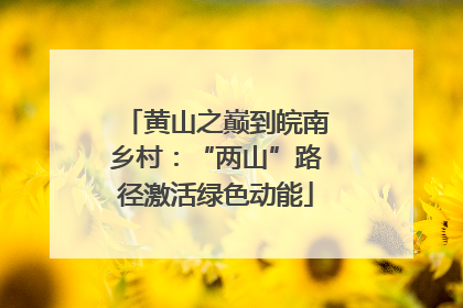 黄山之巅到皖南乡村：“两山”路径激活绿色动能