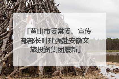 黄山市委常委、宣传部部长叶建强赴安徽文旅投资集团履新