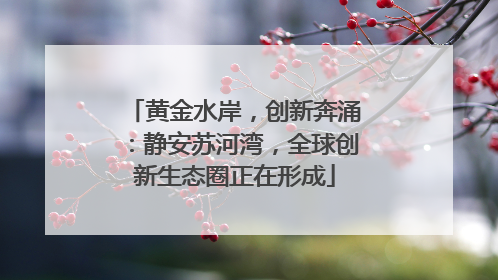 黄金水岸，创新奔涌：静安苏河湾，全球创新生态圈正在形成