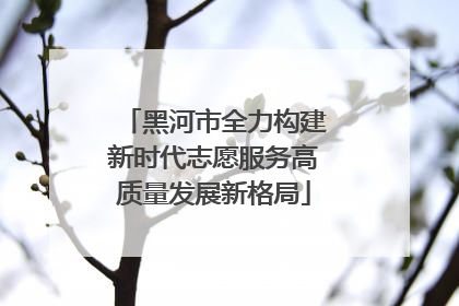 黑河市全力构建新时代志愿服务高质量发展新格局
