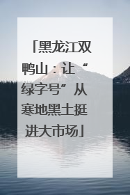 黑龙江双鸭山：让“绿字号”从寒地黑土挺进大市场