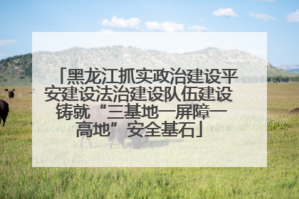 黑龙江抓实政治建设平安建设法治建设队伍建设 铸就“三基地一屏障一高地”安全基石