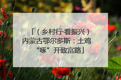 （乡村行·看振兴）内蒙古鄂尔多斯：土鸡“啄”开致富路