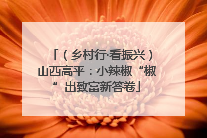 （乡村行·看振兴）山西高平：小辣椒“椒”出致富新答卷