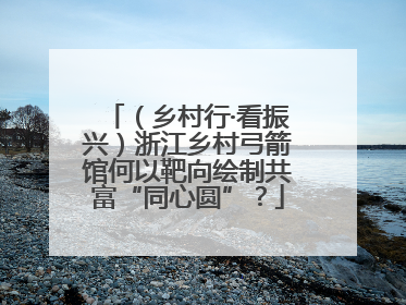 （乡村行·看振兴）浙江乡村弓箭馆何以靶向绘制共富“同心圆”？