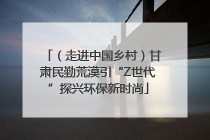 （走进中国乡村）甘肃民勤荒漠引“Z世代”探兴环保新时尚
