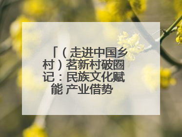 （走进中国乡村）茗新村破圈记：民族文化赋能 产业借势 “网红东风”