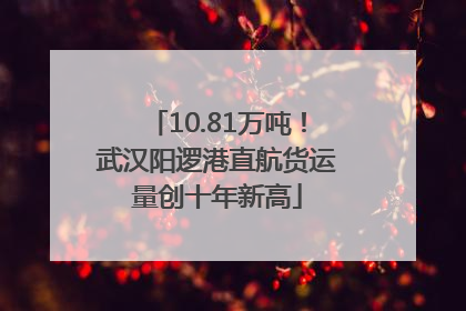 10.81万吨！武汉阳逻港直航货运量创十年新高