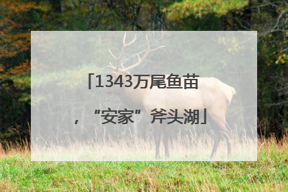 1343万尾鱼苗，“安家”斧头湖