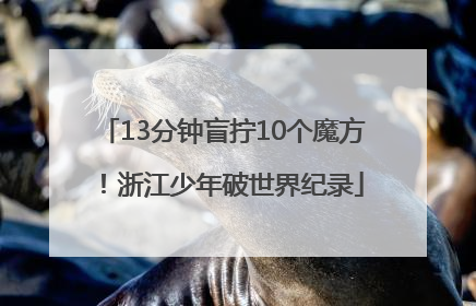 13分钟盲拧10个魔方！浙江少年破世界纪录