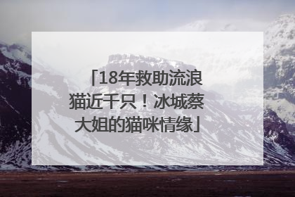 18年救助流浪猫近千只！冰城蔡大姐的猫咪情缘