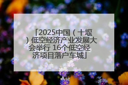 2025中国（十堰）低空经济产业发展大会举行 16个低空经济项目落户车城