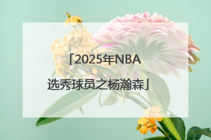 2025年NBA选秀球员之杨瀚森