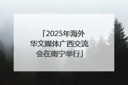 2025年海外华文媒体广西交流会在南宁举行