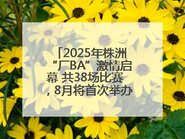 2025年株洲“厂BA”激情启幕 共38场比赛，8月将首次举办全国邀请赛