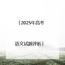 2025年高考语文试题评析