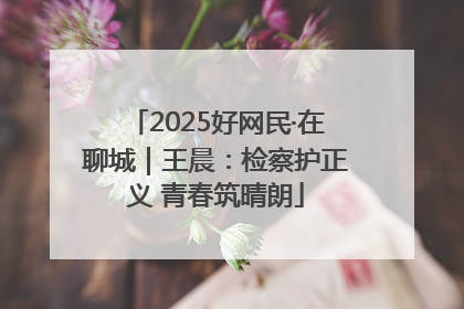 2025好网民·在聊城｜王晨：检察护正义 青春筑晴朗