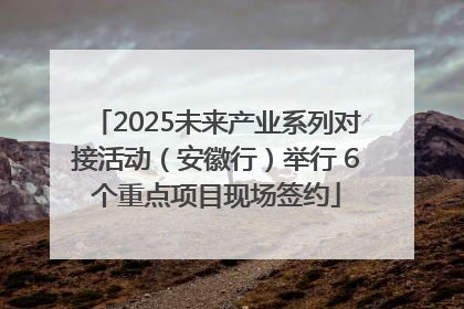 2025未来产业系列对接活动（安徽行）举行 6个重点项目现场签约