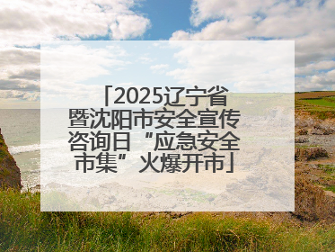 2025辽宁省暨沈阳市安全宣传咨询日“应急安全市集”火爆开市