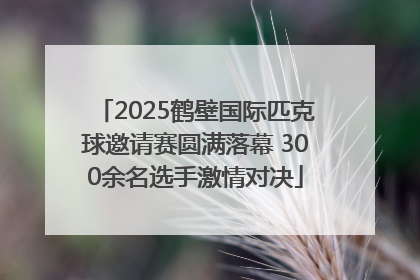 2025鹤壁国际匹克球邀请赛圆满落幕 300余名选手激情对决