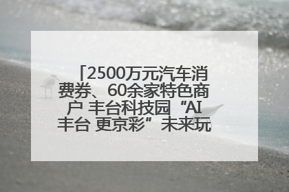 2500万元汽车消费券、60余家特色商户 丰台科技园“AI丰台 更京彩”未来玩家市集活动正式开幕