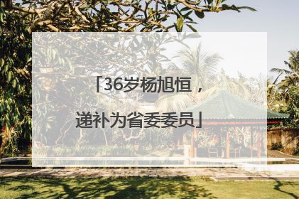 36岁杨旭恒，递补为省委委员