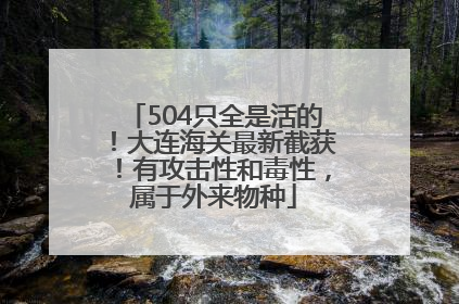 504只全是活的！大连海关最新截获！有攻击性和毒性，属于外来物种