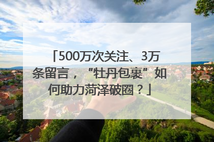 500万次关注、3万条留言，“牡丹包裹”如何助力菏泽破圈？