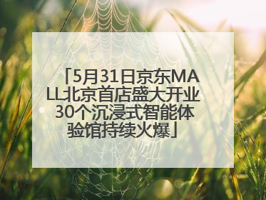 5月31日京东MALL北京首店盛大开业 30个沉浸式智能体验馆持续火爆