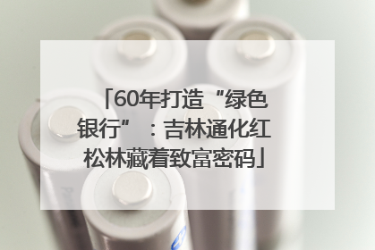 60年打造“绿色银行”：吉林通化红松林藏着致富密码