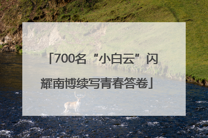 700名“小白云”闪耀南博续写青春答卷