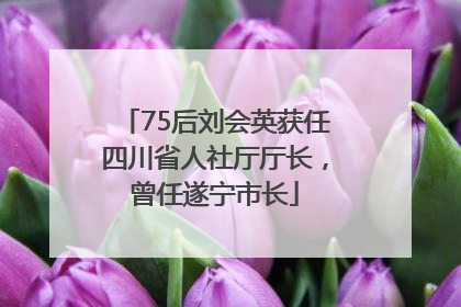 75后刘会英获任四川省人社厅厅长，曾任遂宁市长