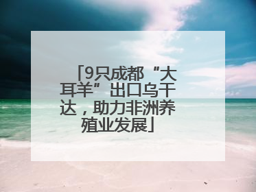 9只成都“大耳羊”出口乌干达，助力非洲养殖业发展