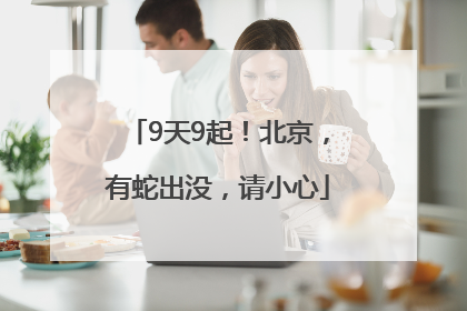 9天9起！北京，有蛇出没，请小心